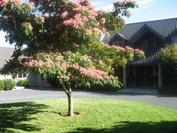 Heron Hill Kerikeri Exterior photo